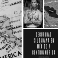 Seguridad ciudadana