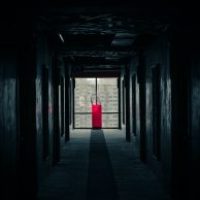 Novela de horror contemporánea