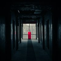 Novela de horror contemporánea