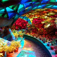 IMG-20231111-WA0038