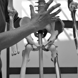 El Cuerpo y sus Conexiones. Aportes en la reorganización corporal para la sanación y creación