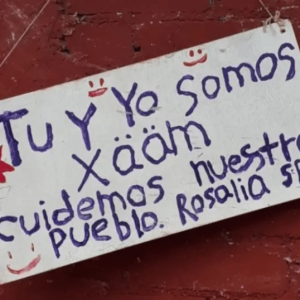 Políticas públicas para la interculturalidad que atiende la interseccionalidad